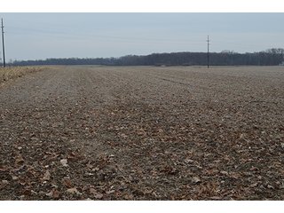 Property photo 11 - LAND AUCTION, 77 Acres offered in 3 Tracts